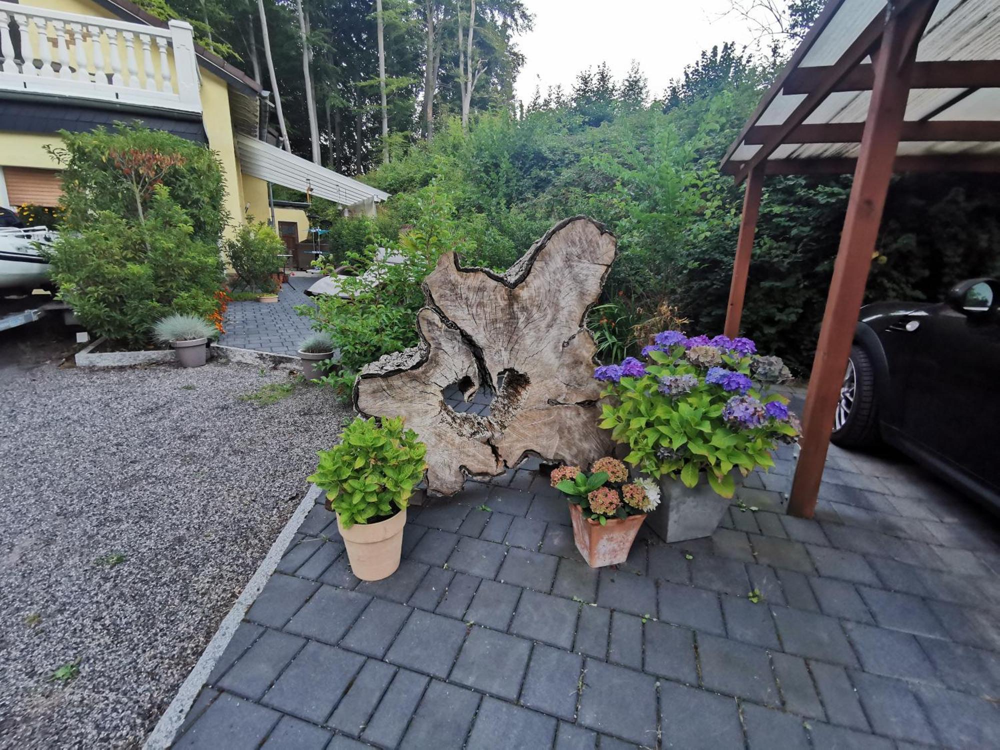 Апартаменти Urlaub Im Ruhrgebiet Хольцвіккеде Екстер'єр фото